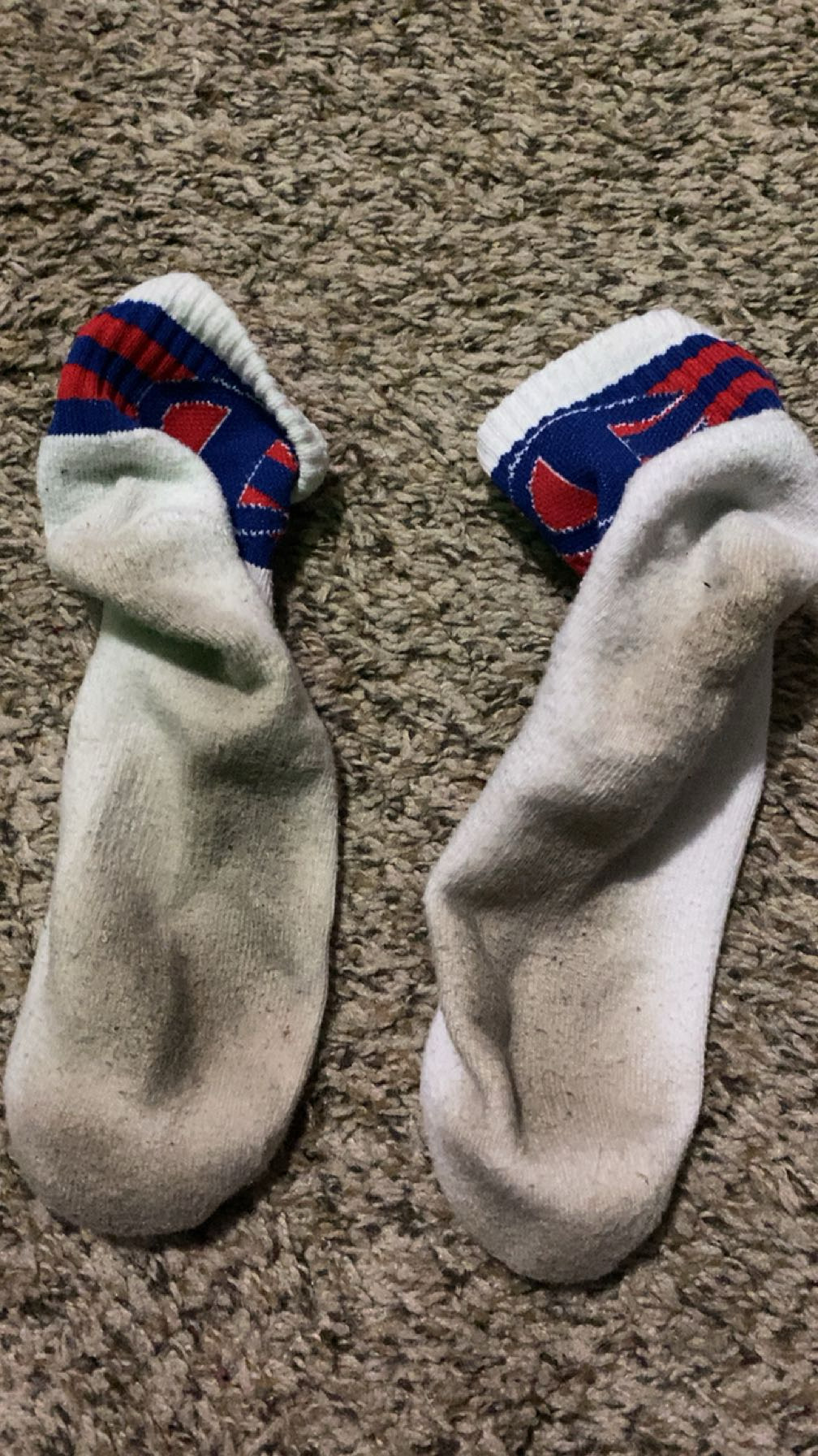 Gross champion socks